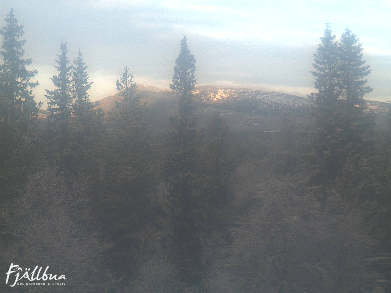 Fjällbua webcam 2024-11-11 11:30