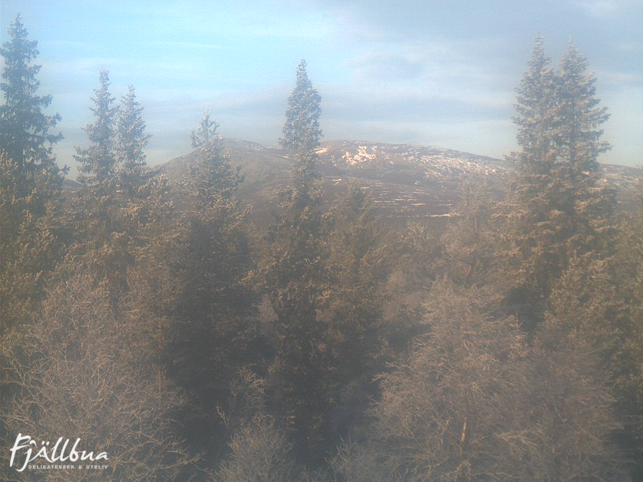 Fjällbua webcam 2024-11-11 12:00