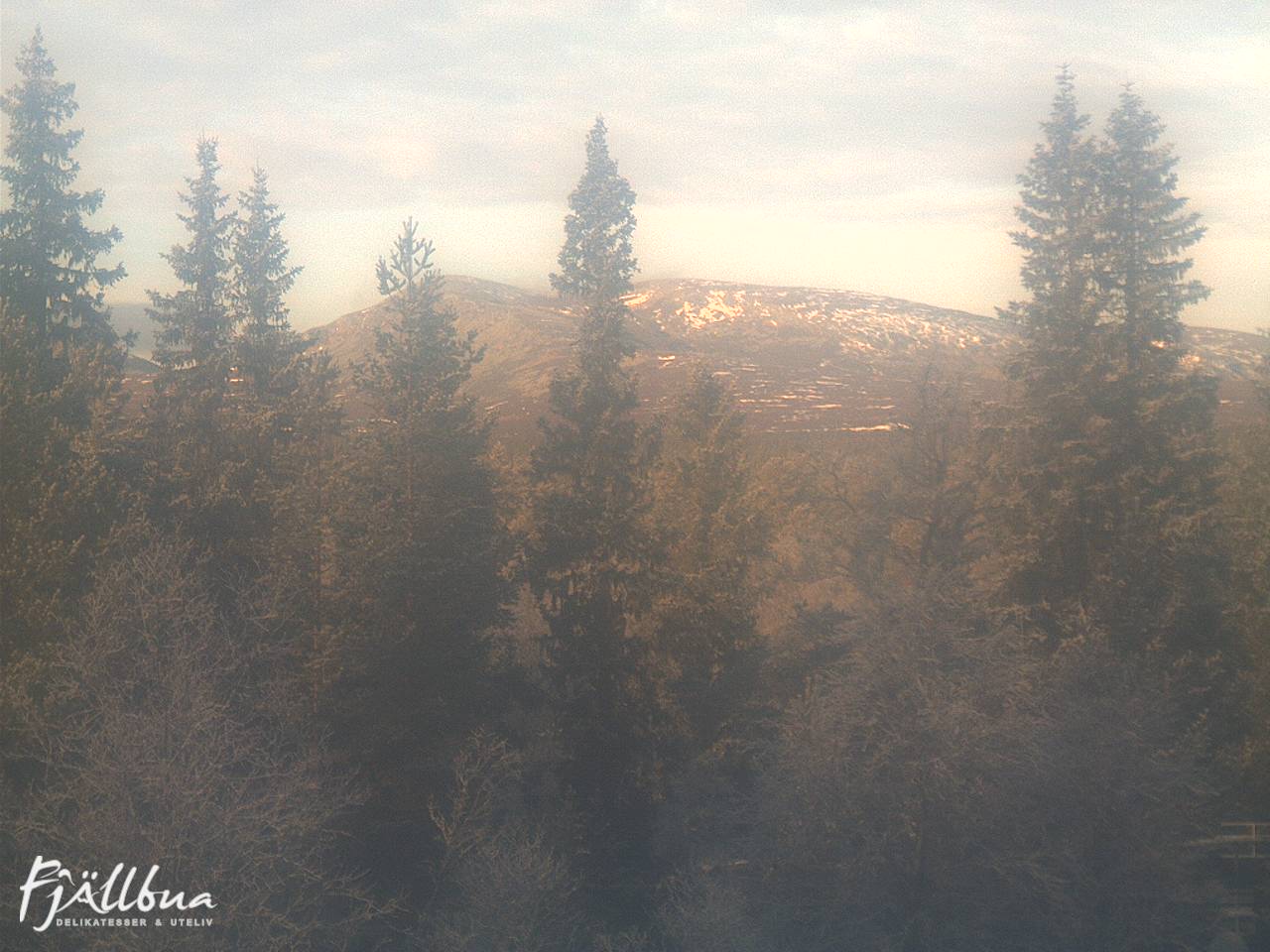 Fjällbua webcam 2024-11-11 12:30