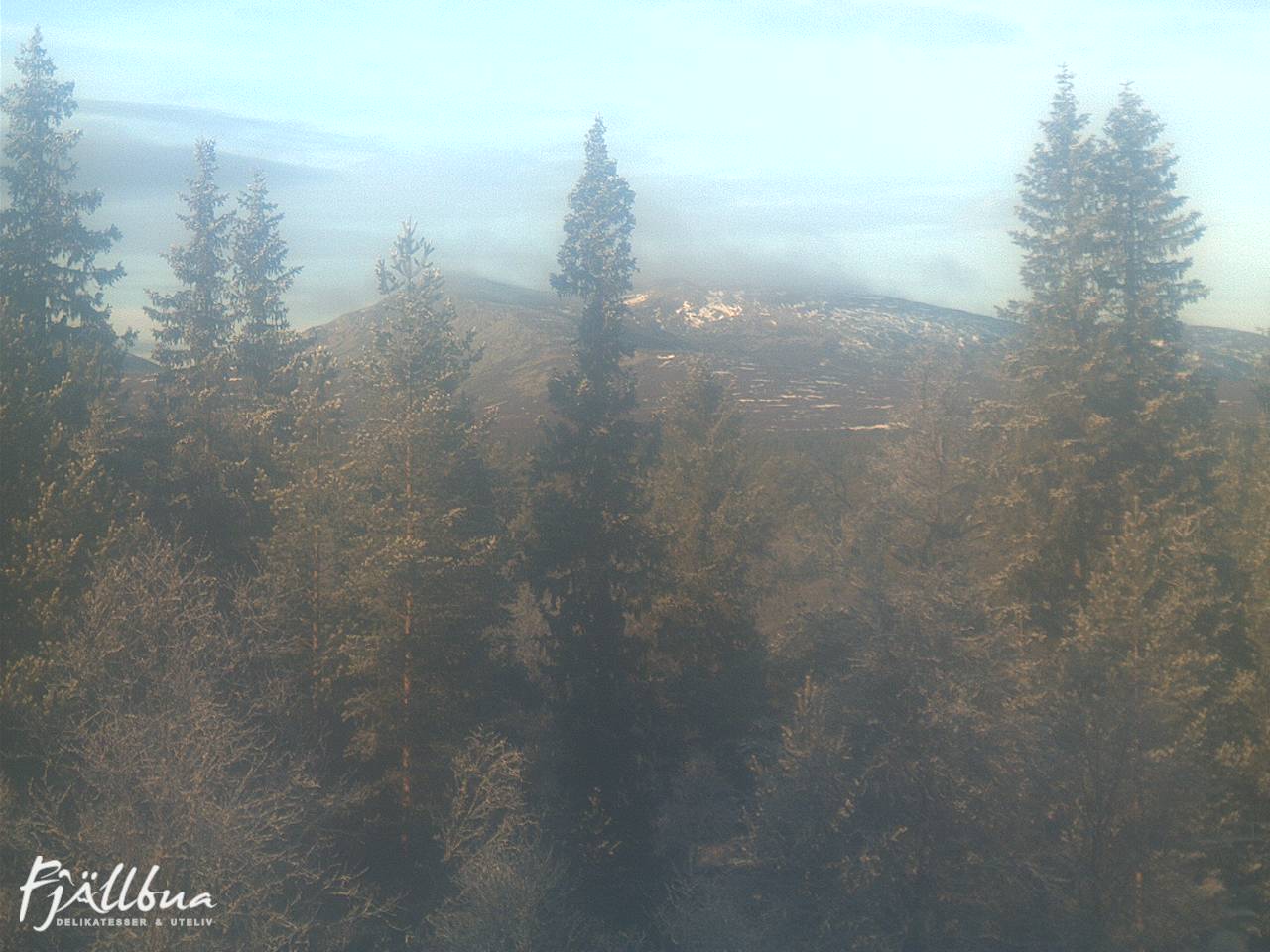 Fjällbua webcam 2024-11-11 13:00
