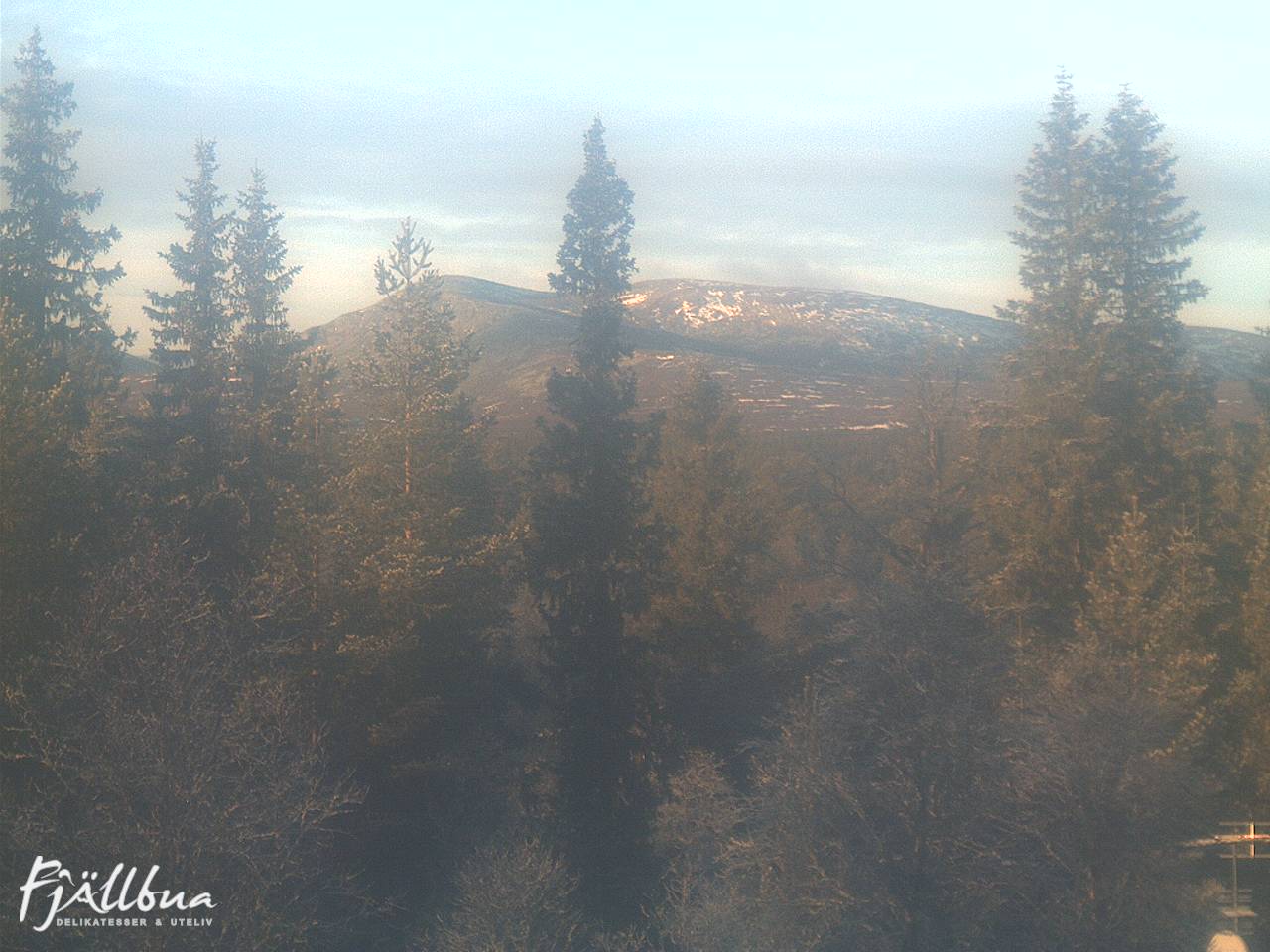 Fjällbua webcam 2024-11-11 13:30