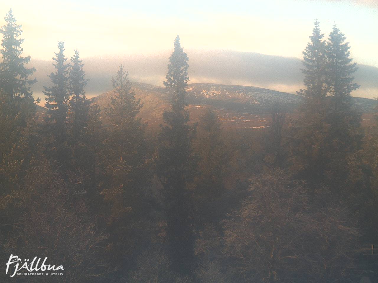 Fjällbua webcam 2024-11-11 14:00