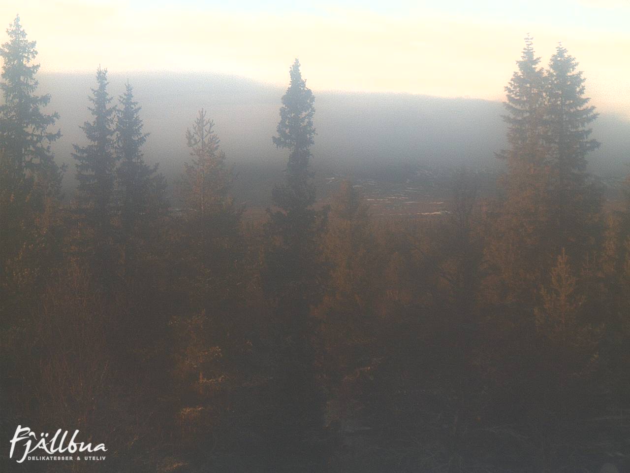 Fjällbua webcam 2024-11-11 14:30