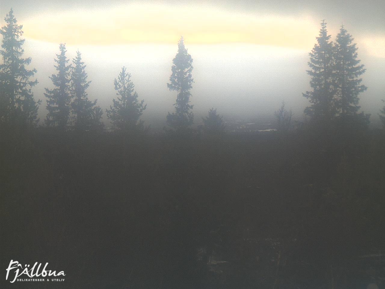 Fjällbua webcam 2024-11-11 15:00