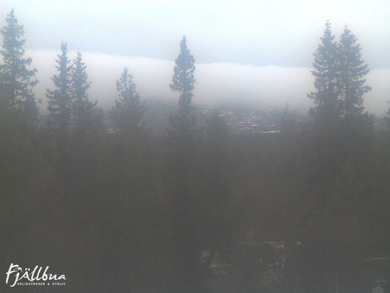 Fjällbua webcam 2024-11-12 09:00