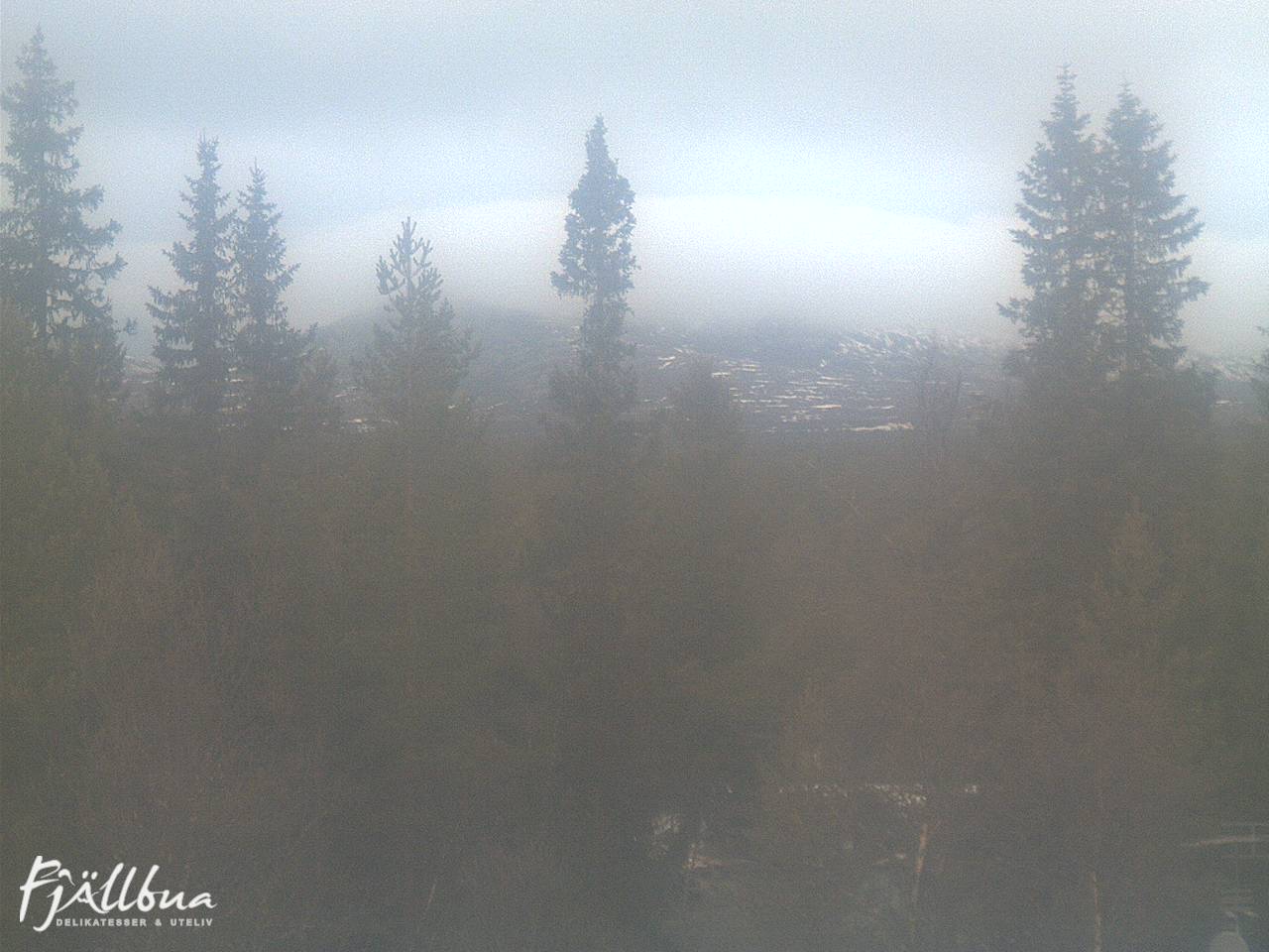 Fjällbua webcam 2024-11-12 09:30