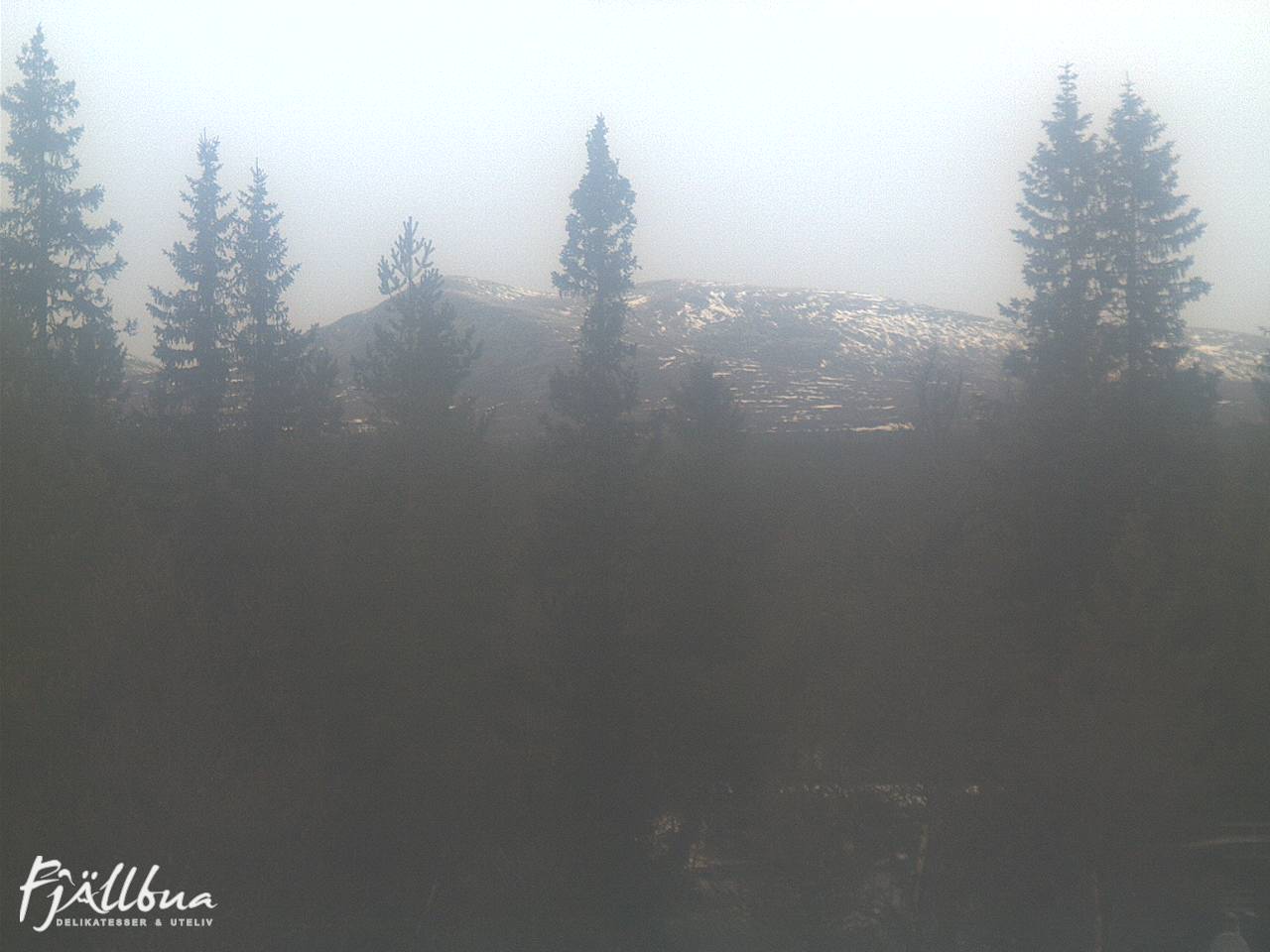Fjällbua webcam 2024-11-12 10:00