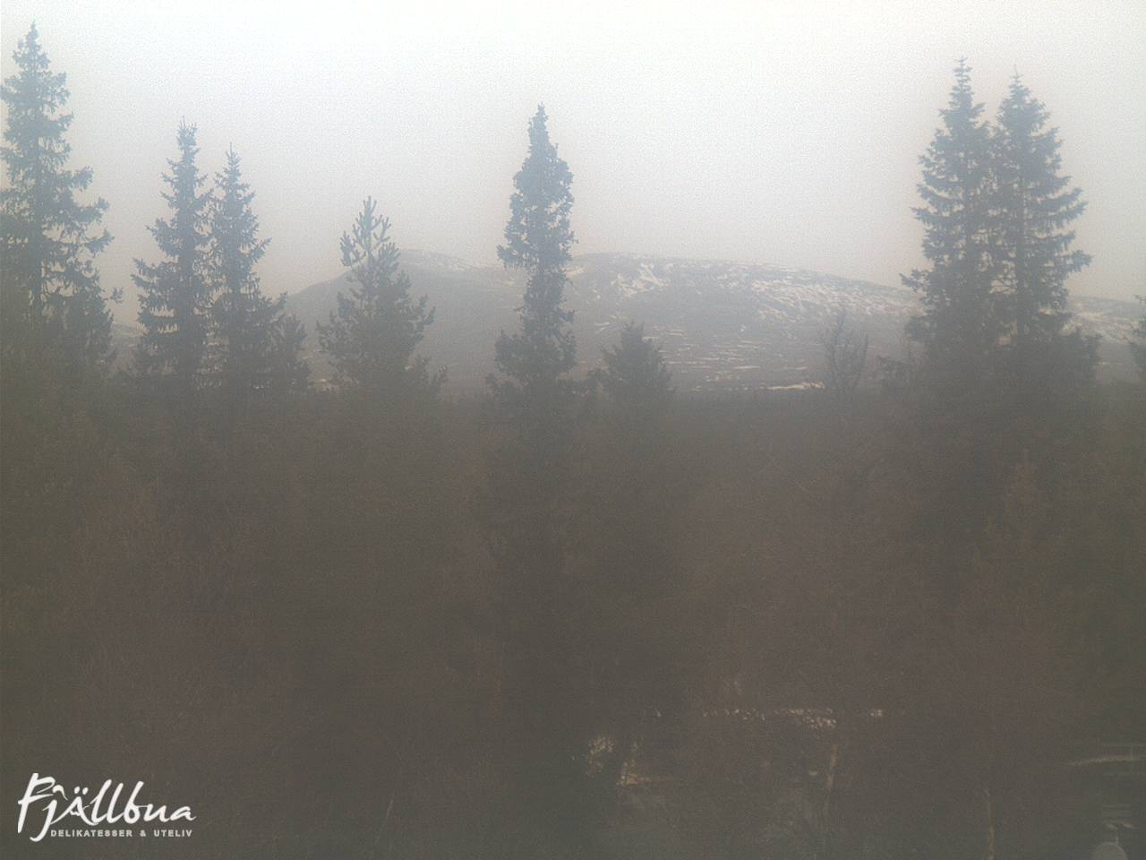Fjällbua webcam 2024-11-12 11:00