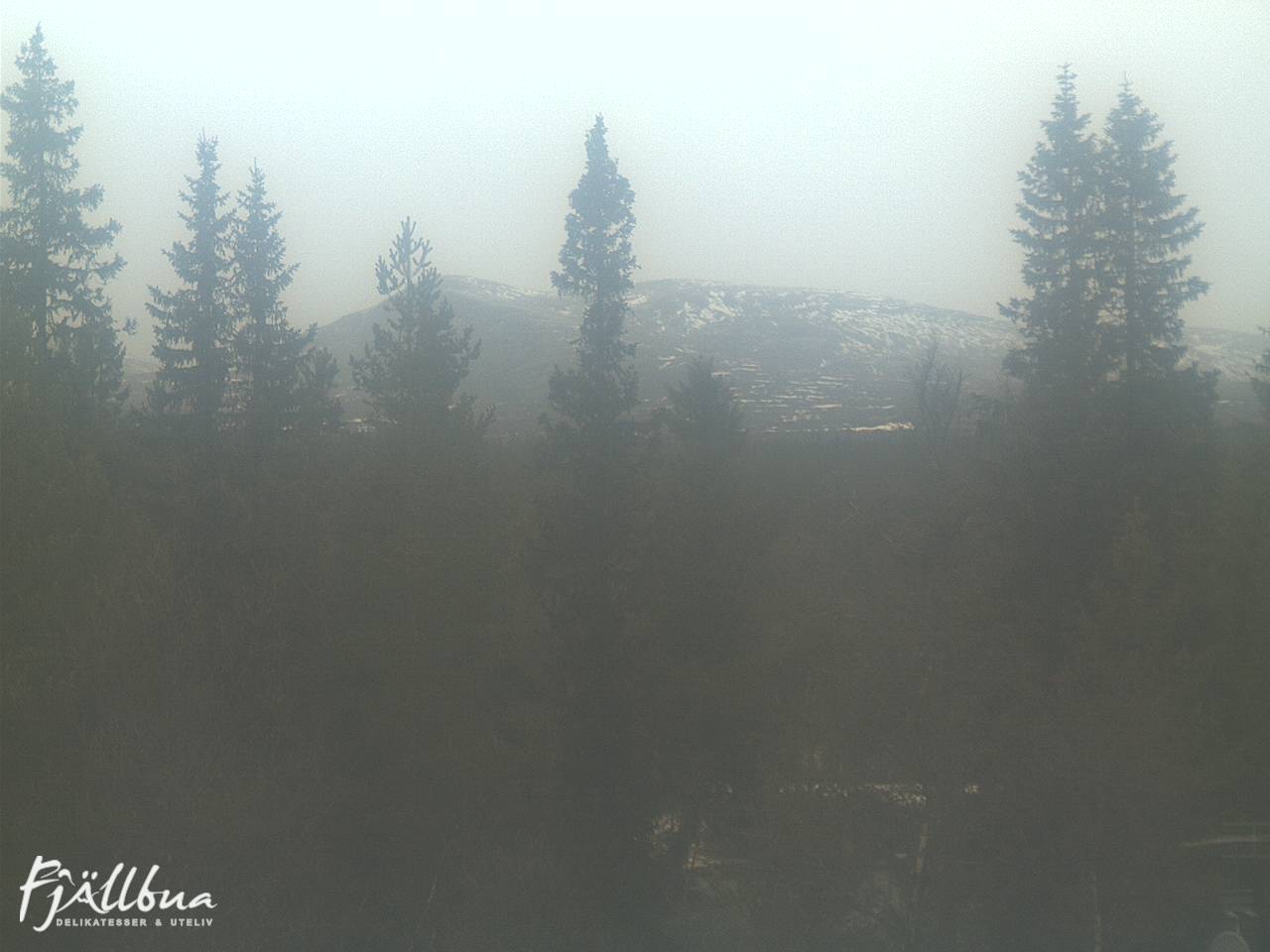 Fjällbua webcam 2024-11-12 11:30
