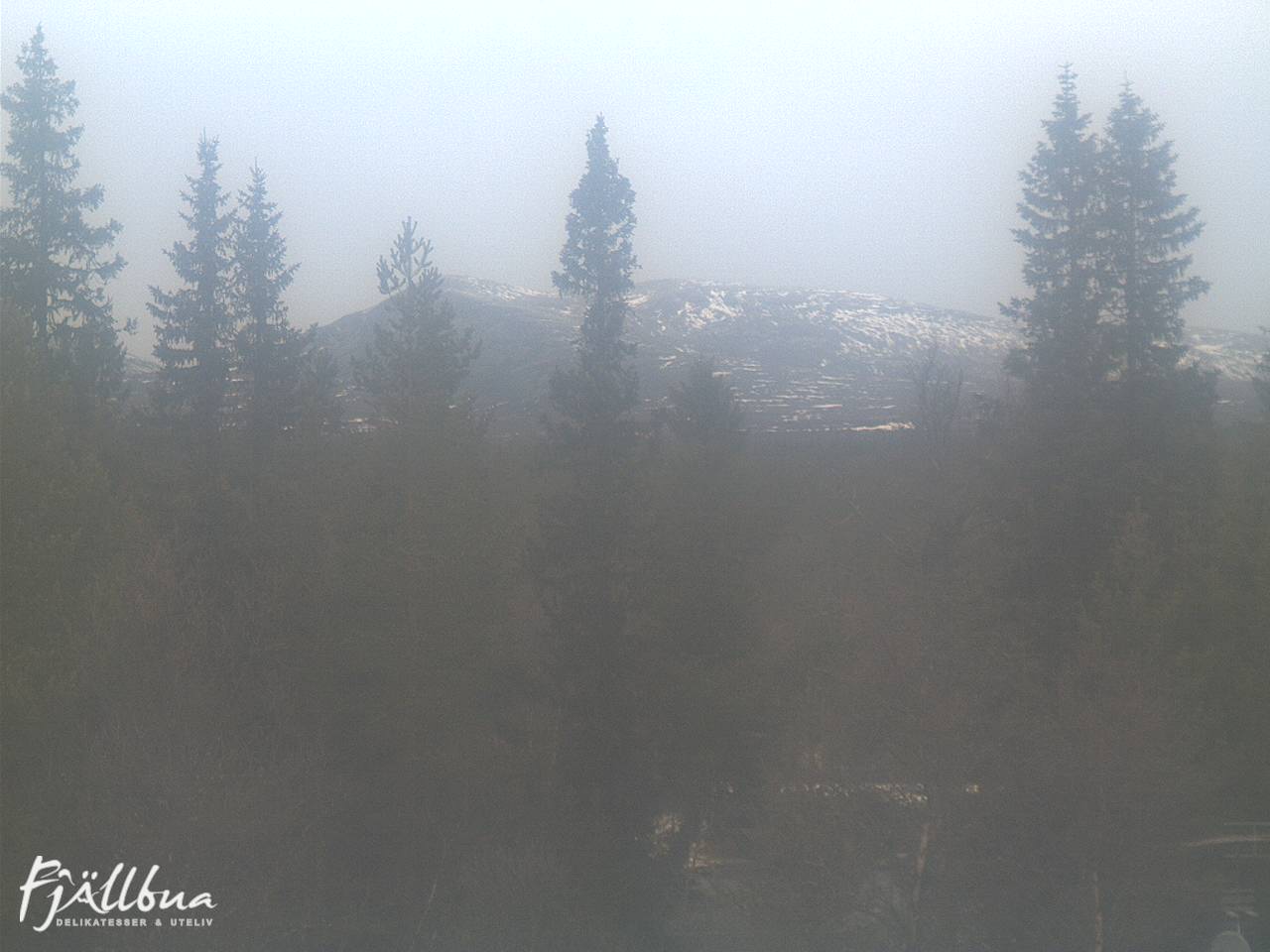 Fjällbua webcam 2024-11-12 12:00