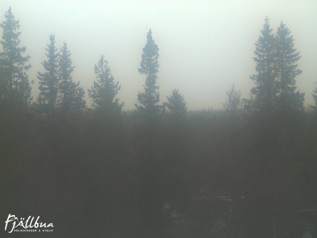 Fjällbua webcam 2024-11-12 12:30