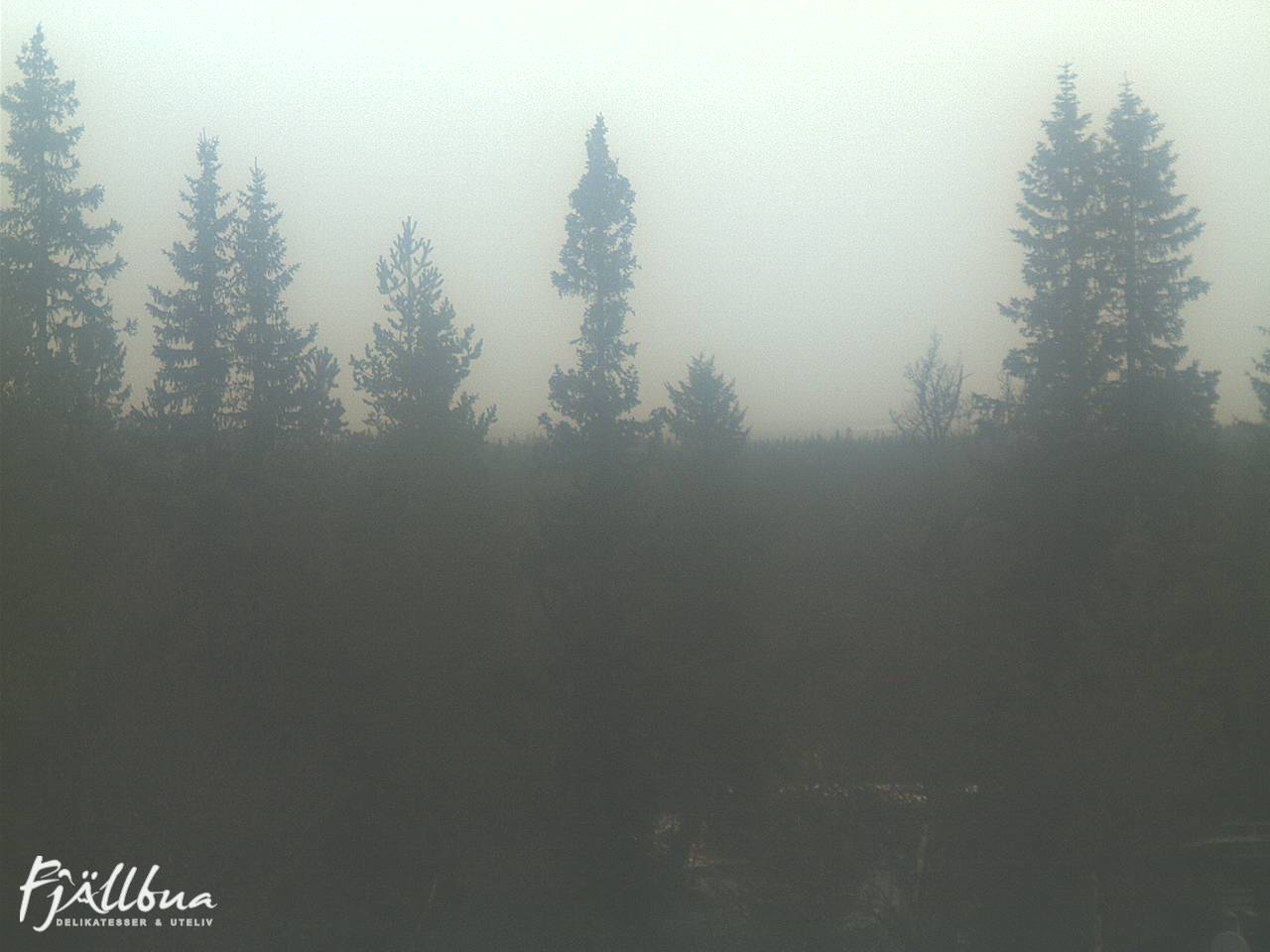Fjällbua webcam 2024-11-12 13:00