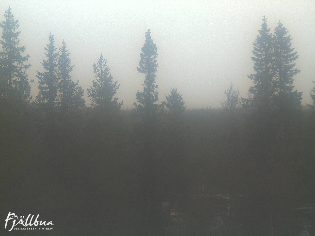 Fjällbua webcam 2024-11-12 13:30