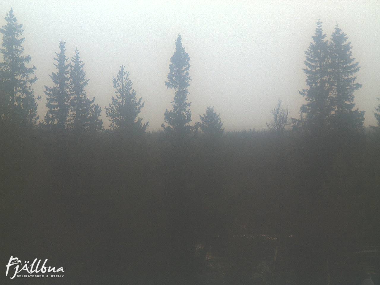 Fjällbua webcam 2024-11-12 14:00