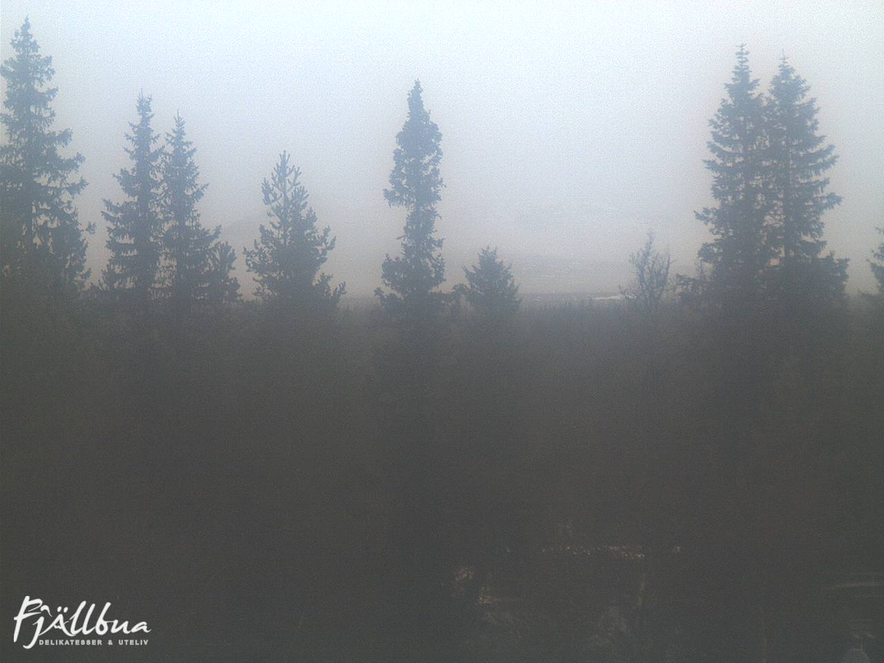 Fjällbua webcam 2024-11-12 14:30