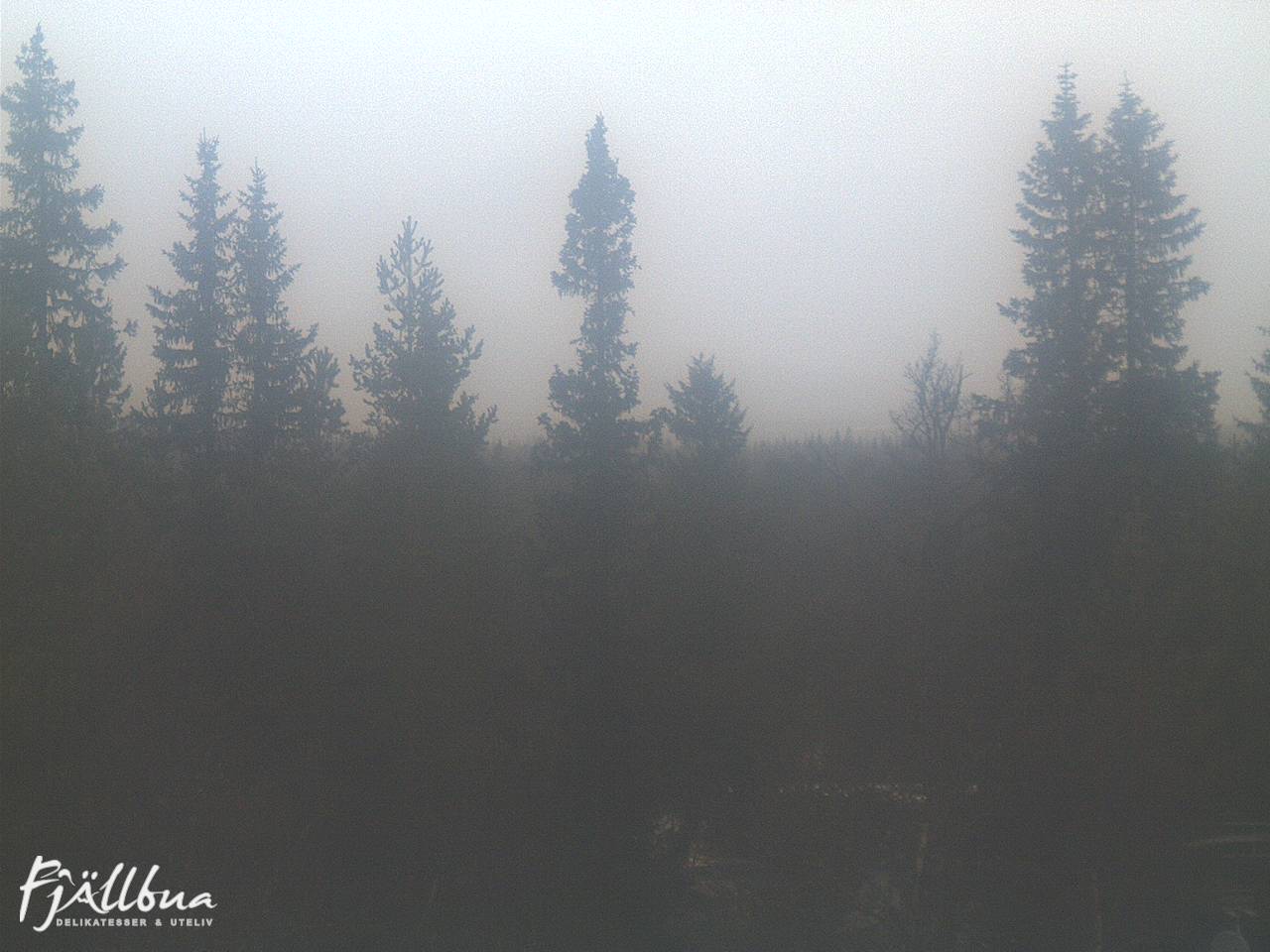 Fjällbua webcam 2024-11-12 15:00