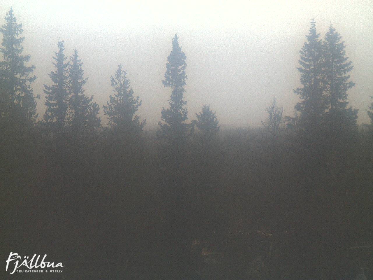 Fjällbua webcam 2024-11-12 15:30