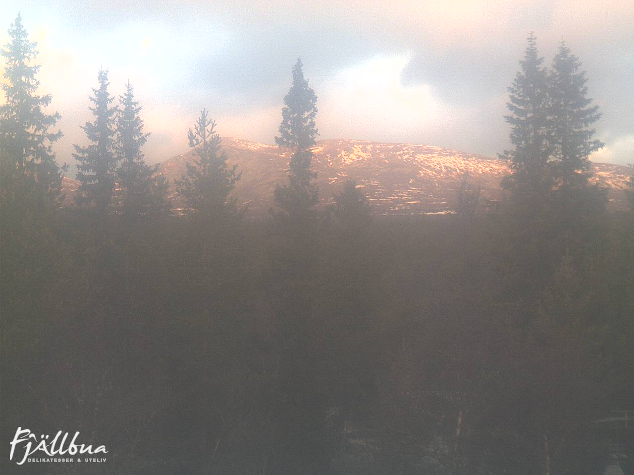 Fjällbua webcam 2024-11-13 09:00