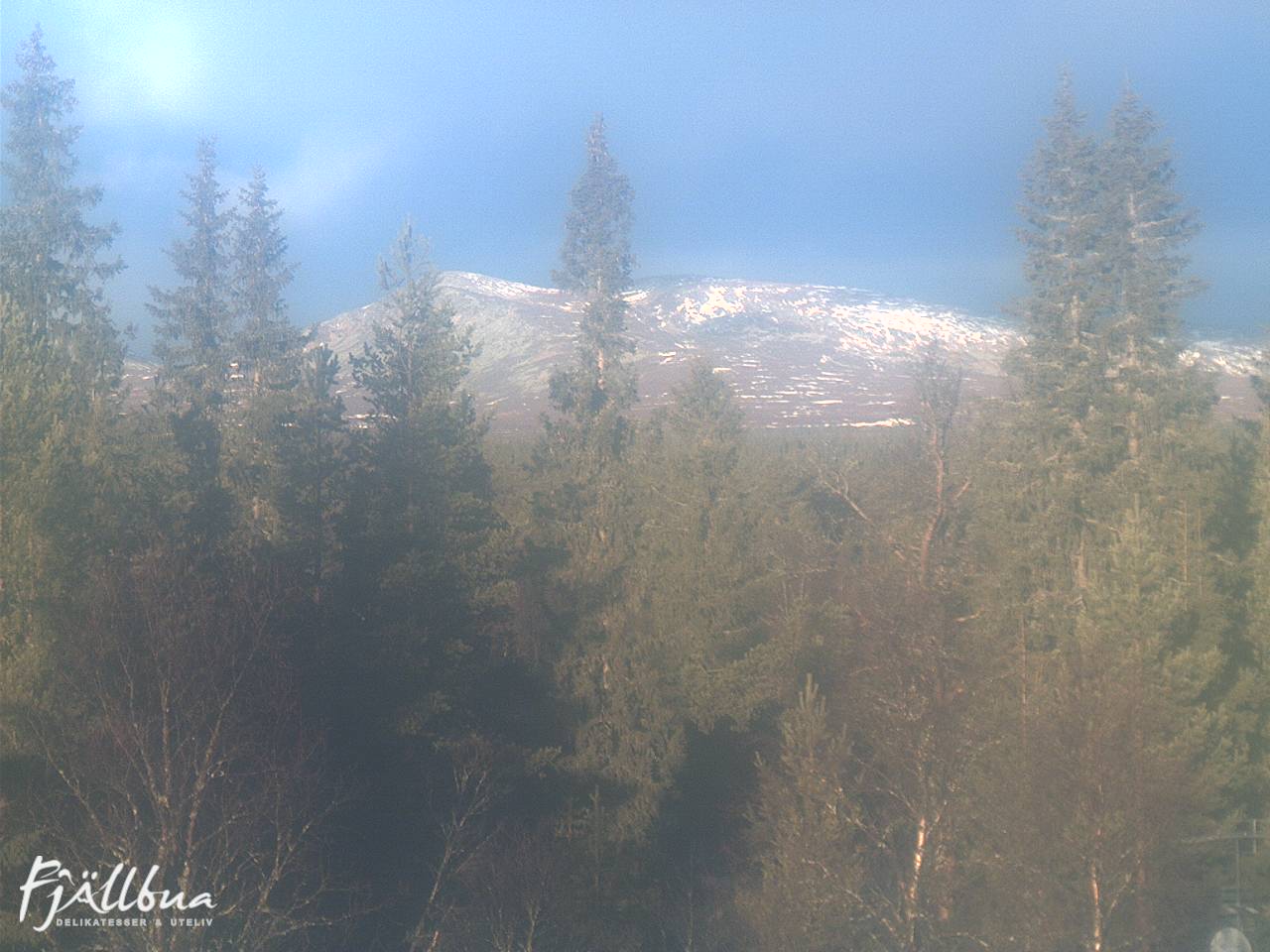Fjällbua webcam 2024-11-13 10:00