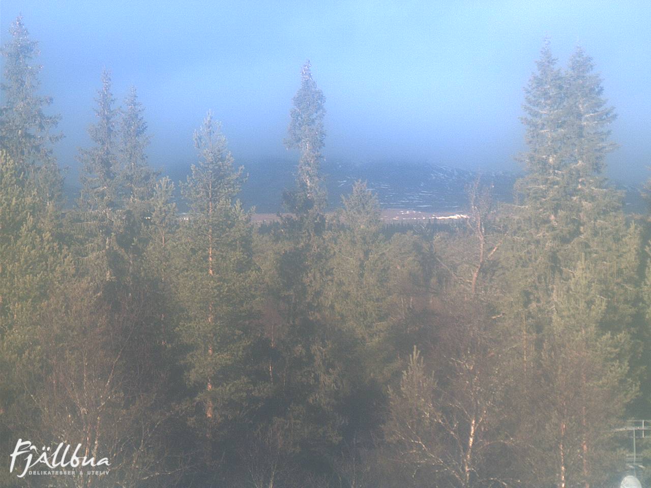 Fjällbua webcam 2024-11-13 10:30