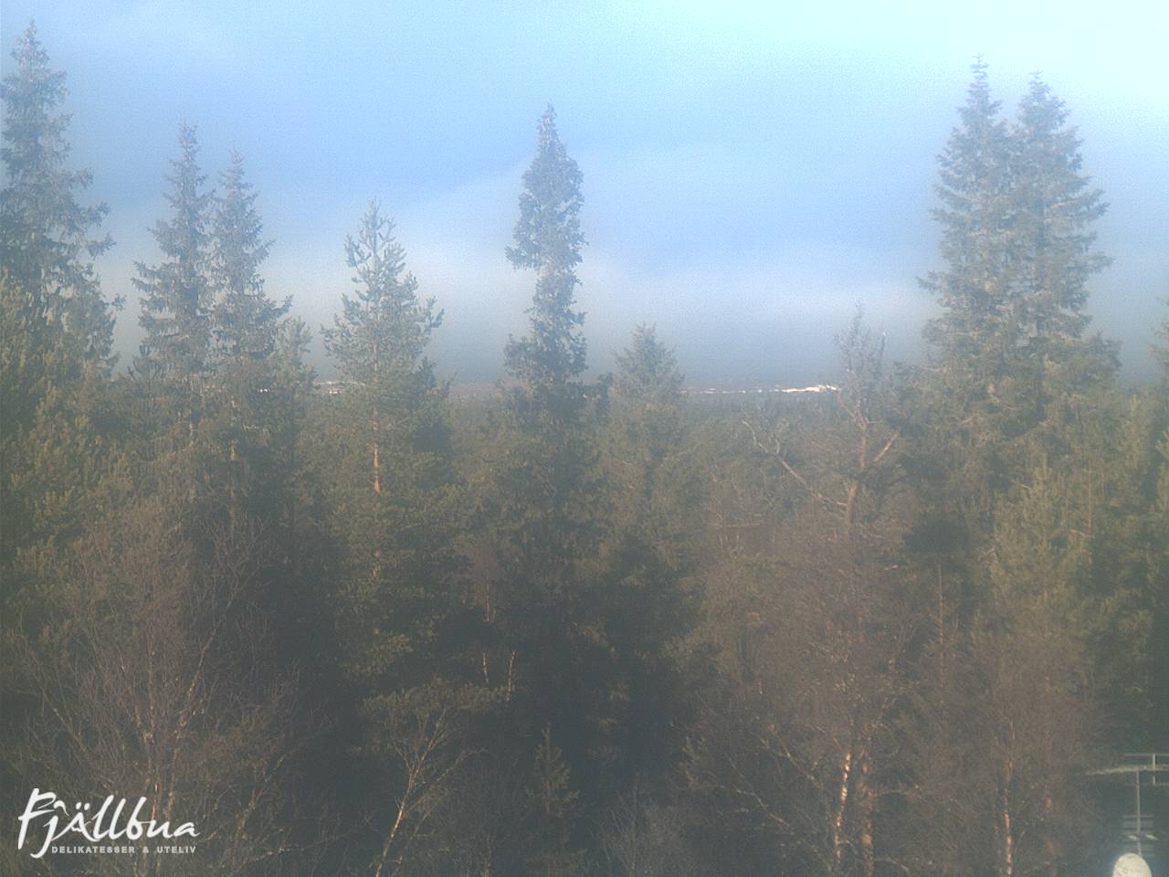 Fjällbua webcam 2024-11-13 11:00