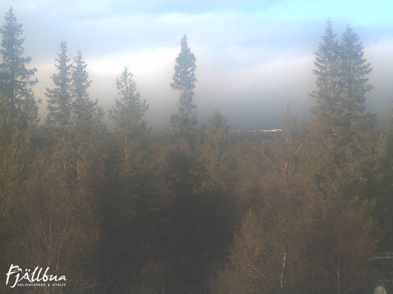 Fjällbua webcam 2024-11-13 11:30