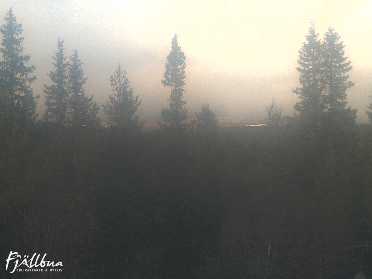 Fjällbua webcam 2024-11-13 12:00