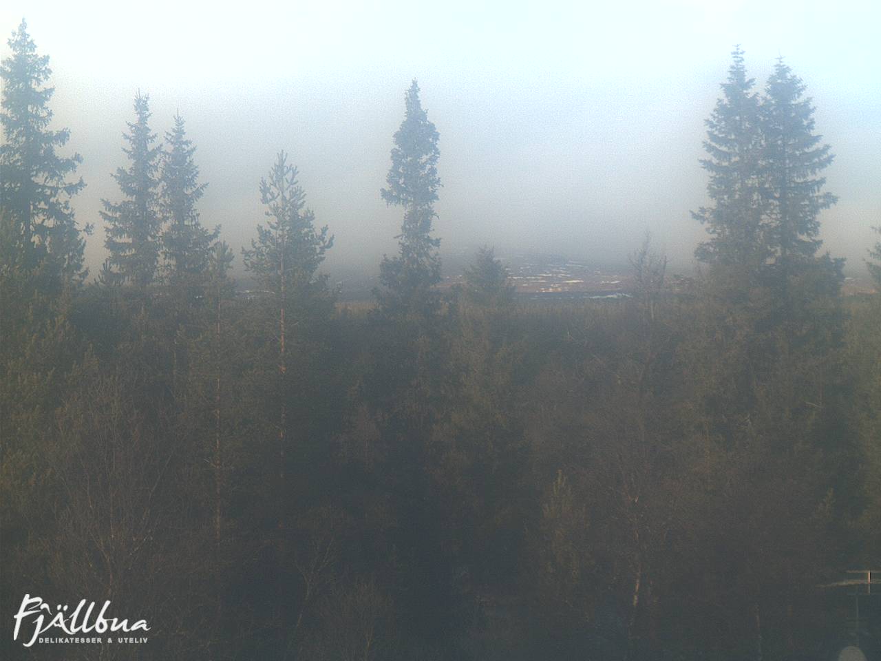 Fjällbua webcam 2024-11-13 12:30