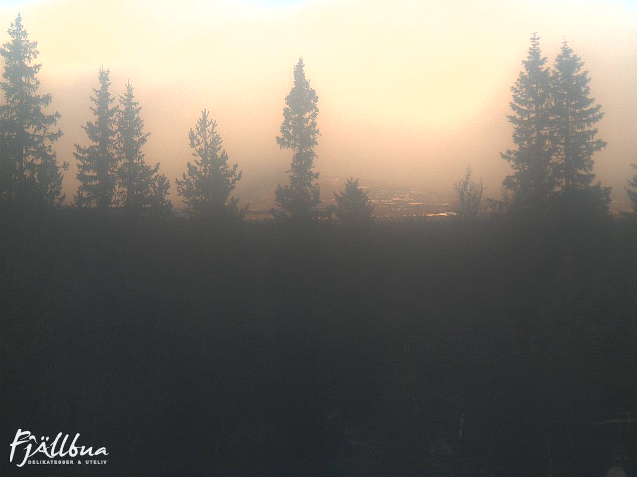 Fjällbua webcam 2024-11-13 13:00