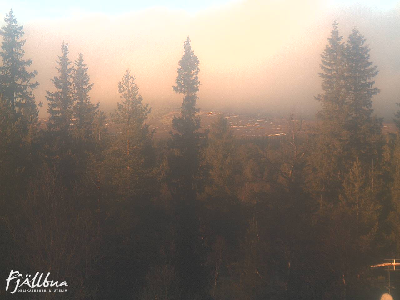 Fjällbua webcam 2024-11-13 13:30
