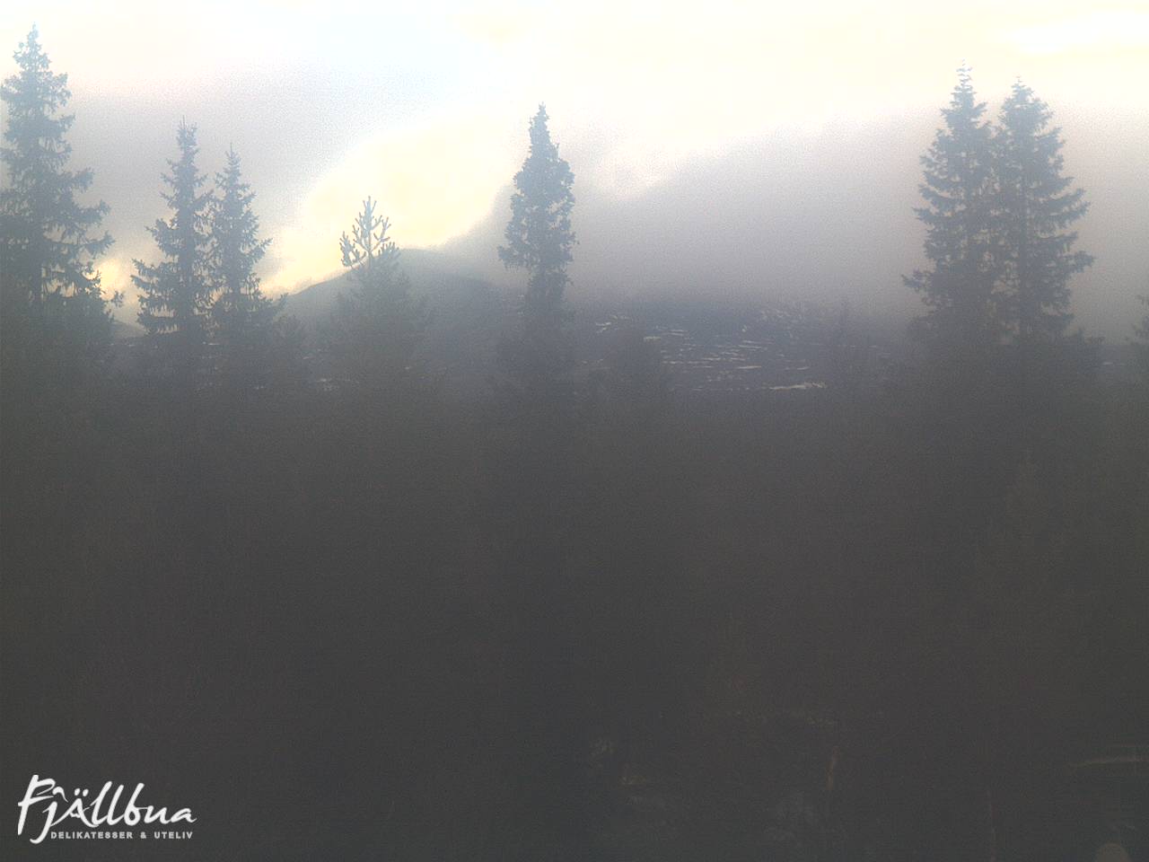 Fjällbua webcam 2024-11-13 14:00