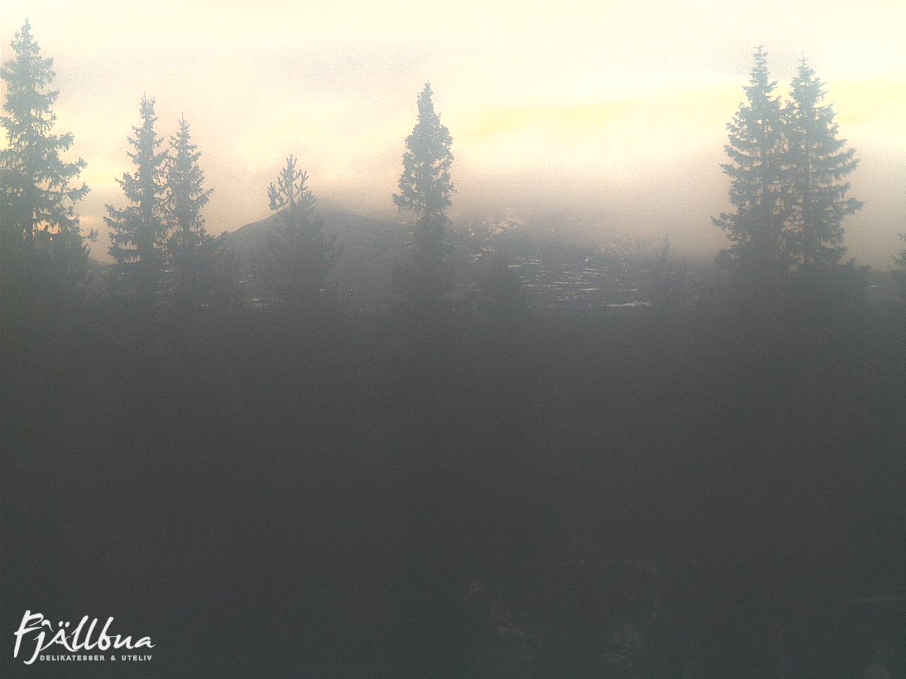 Fjällbua webcam 2024-11-13 14:30
