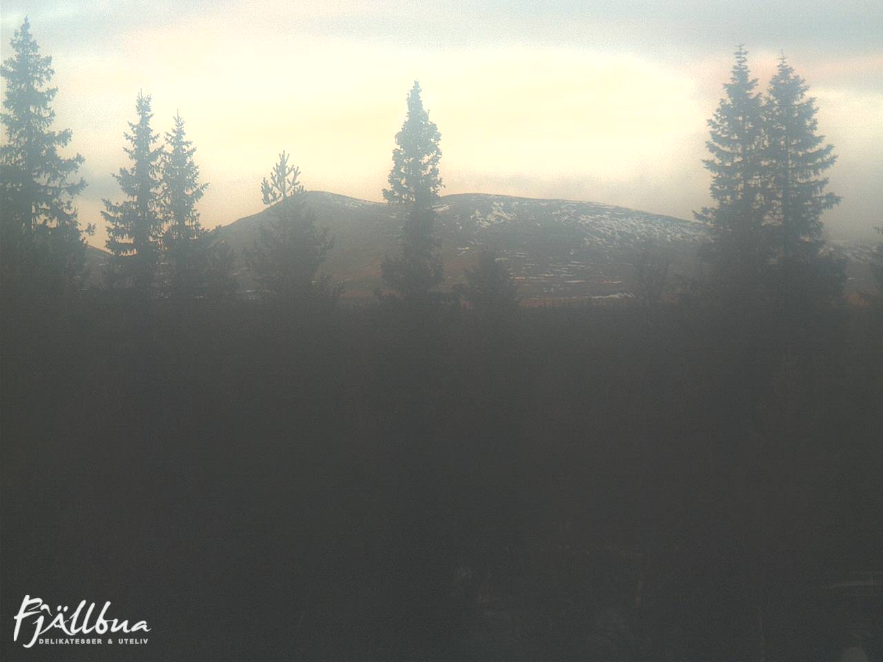 Fjällbua webcam 2024-11-13 15:00