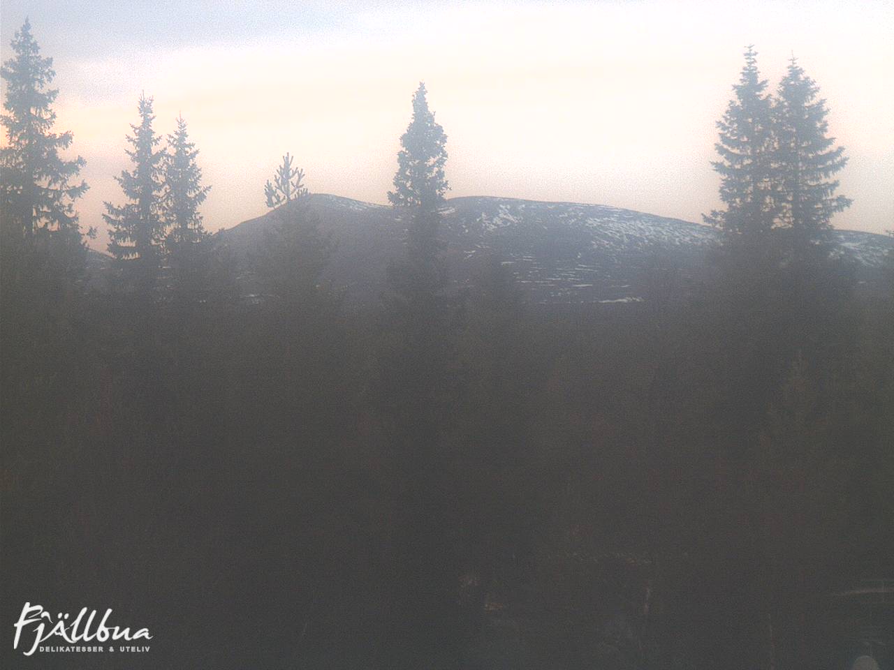 Fjällbua webcam 2024-11-13 15:30