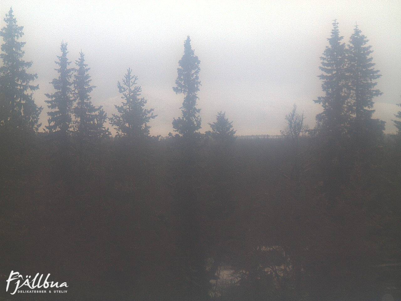 Fjällbua webcam 2024-11-30 09:00