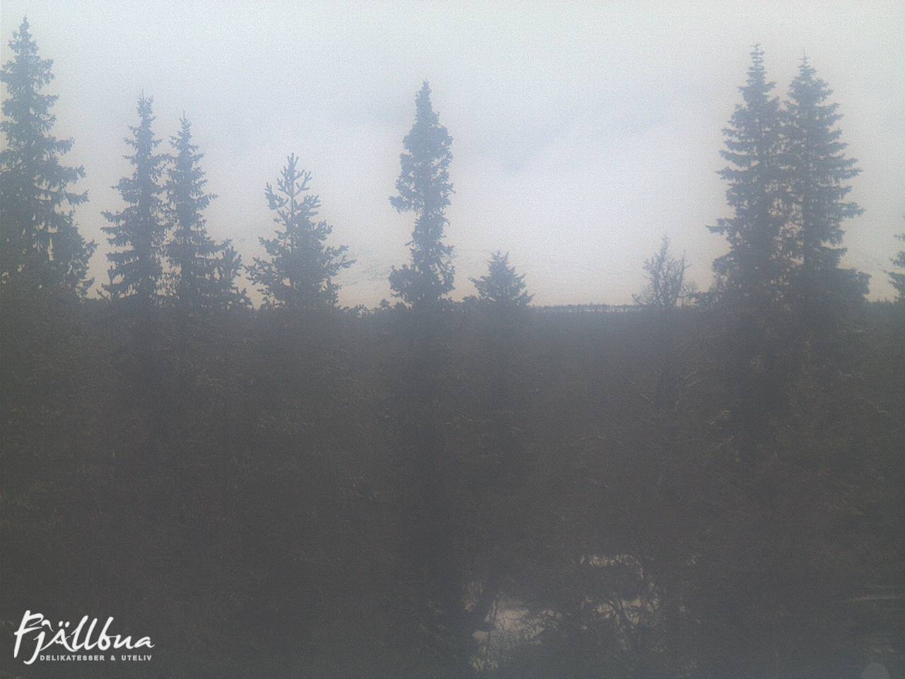 Fjällbua webcam 2024-11-30 09:30