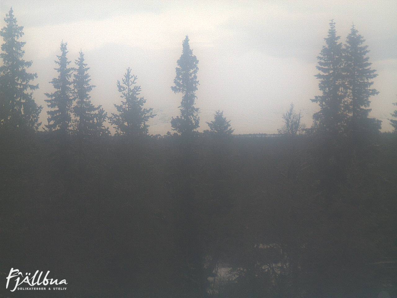 Fjällbua webcam 2024-11-30 10:00
