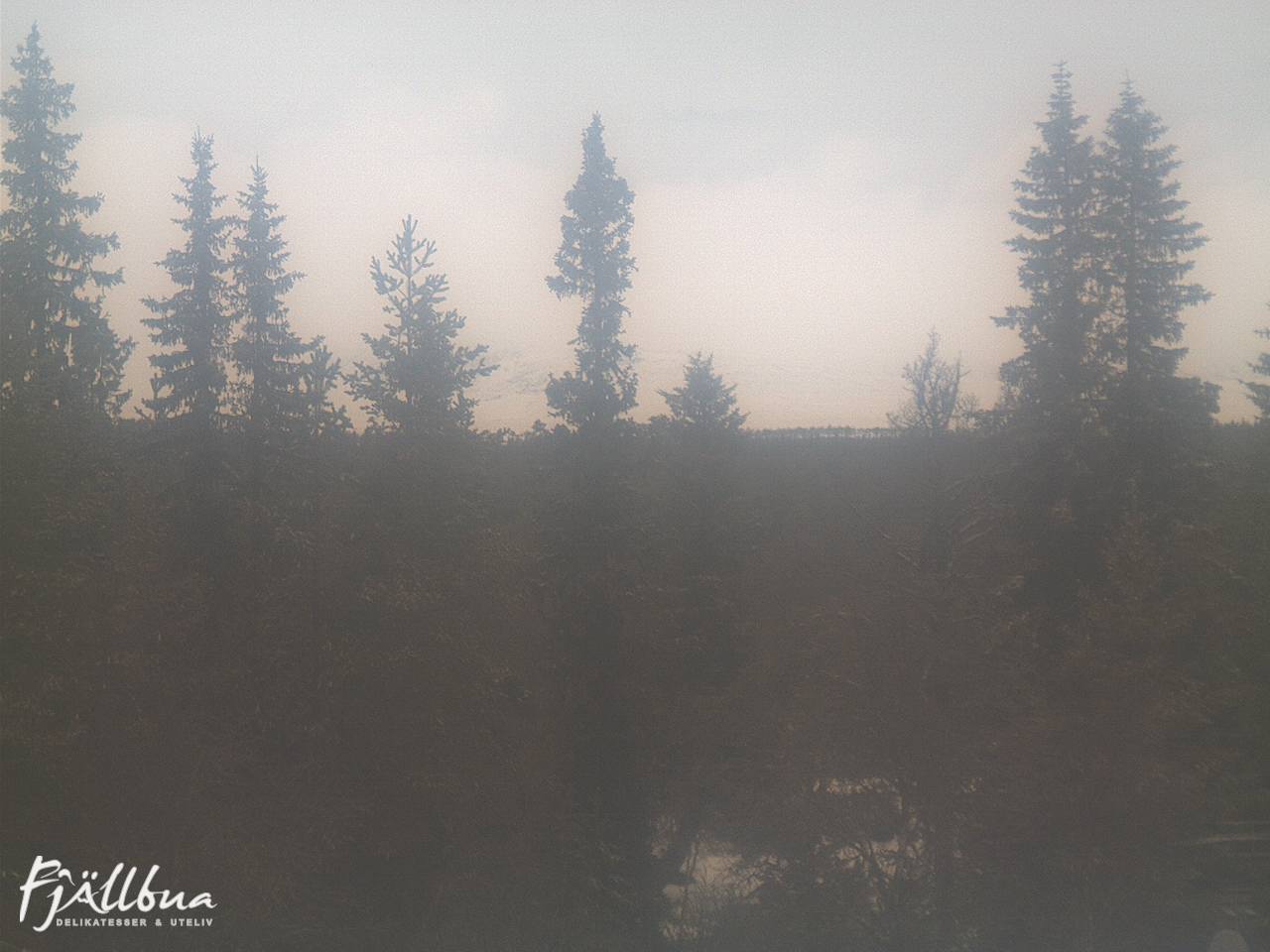 Fjällbua webcam 2024-11-30 10:30
