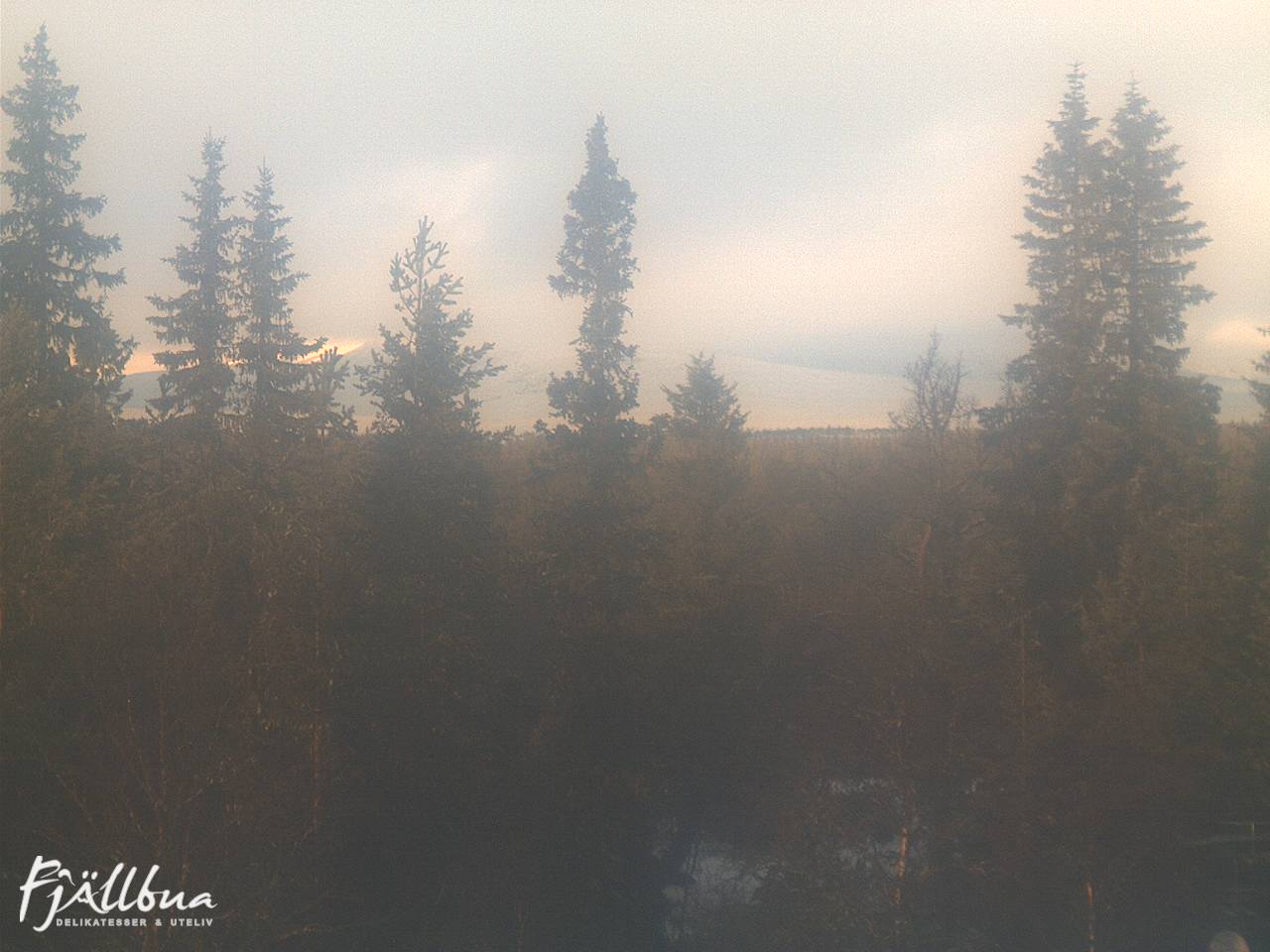 Fjällbua webcam 2024-11-30 12:00