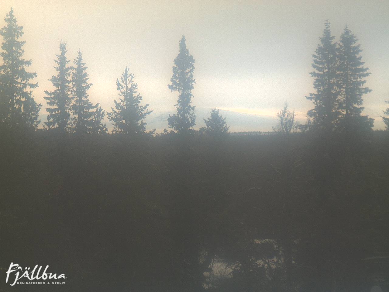 Fjällbua webcam 2024-11-30 12:30