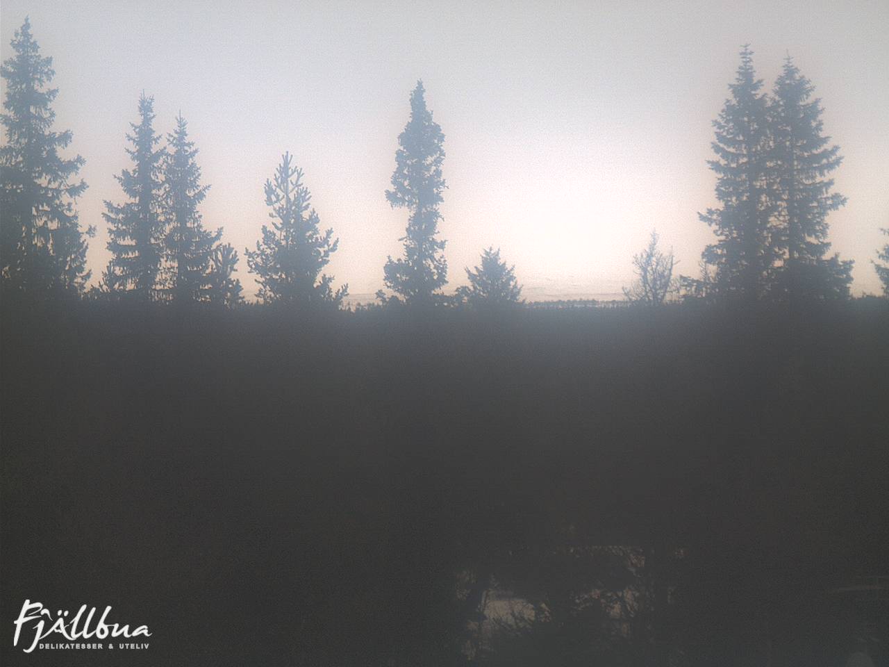 Fjällbua webcam 2024-12-01 11:00