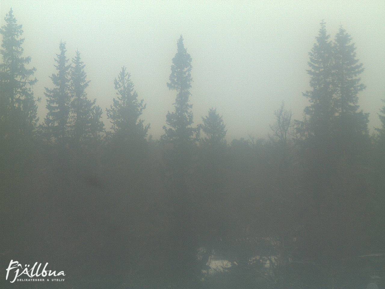 Fjällbua webcam 2024-12-02 14:30