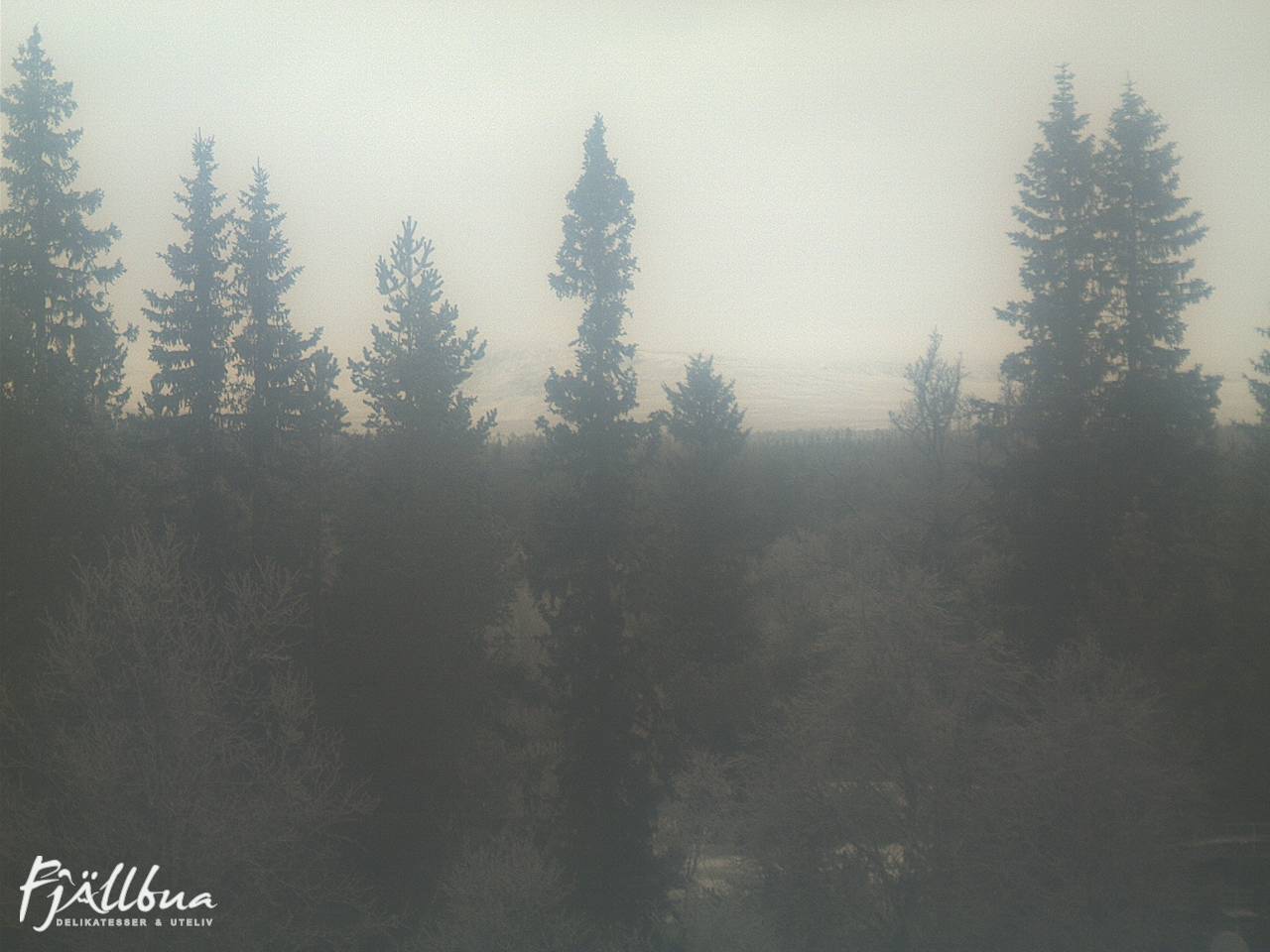Fjällbua webcam 2024-12-05 13:00