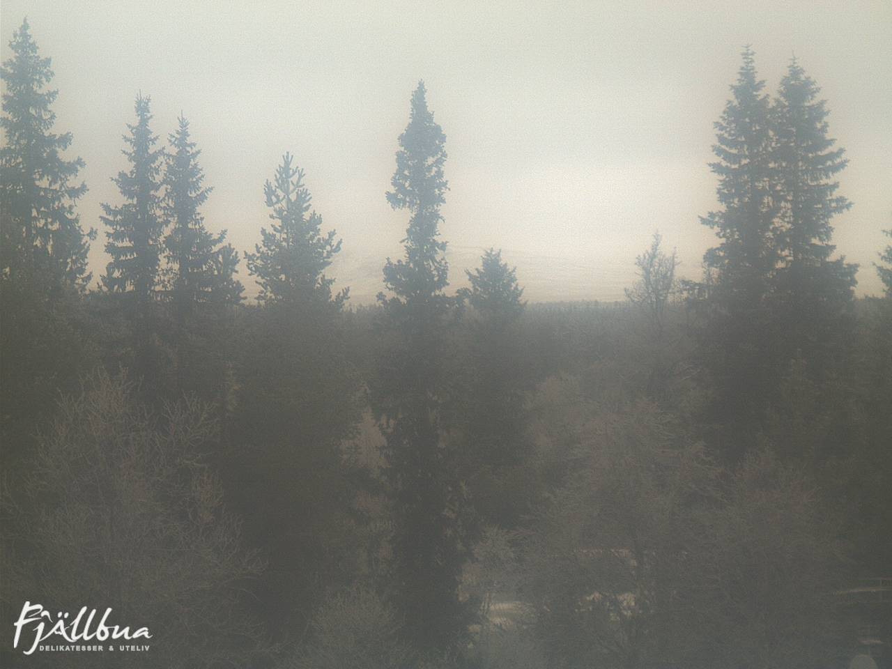Fjällbua webcam 2024-12-05 13:30