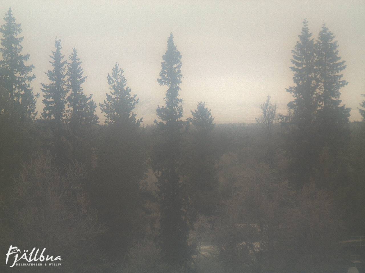 Fjällbua webcam 2024-12-05 14:00