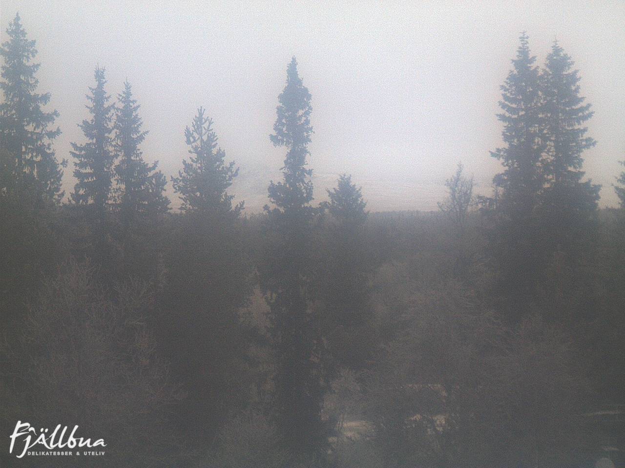 Fjällbua webcam 2024-12-05 14:30