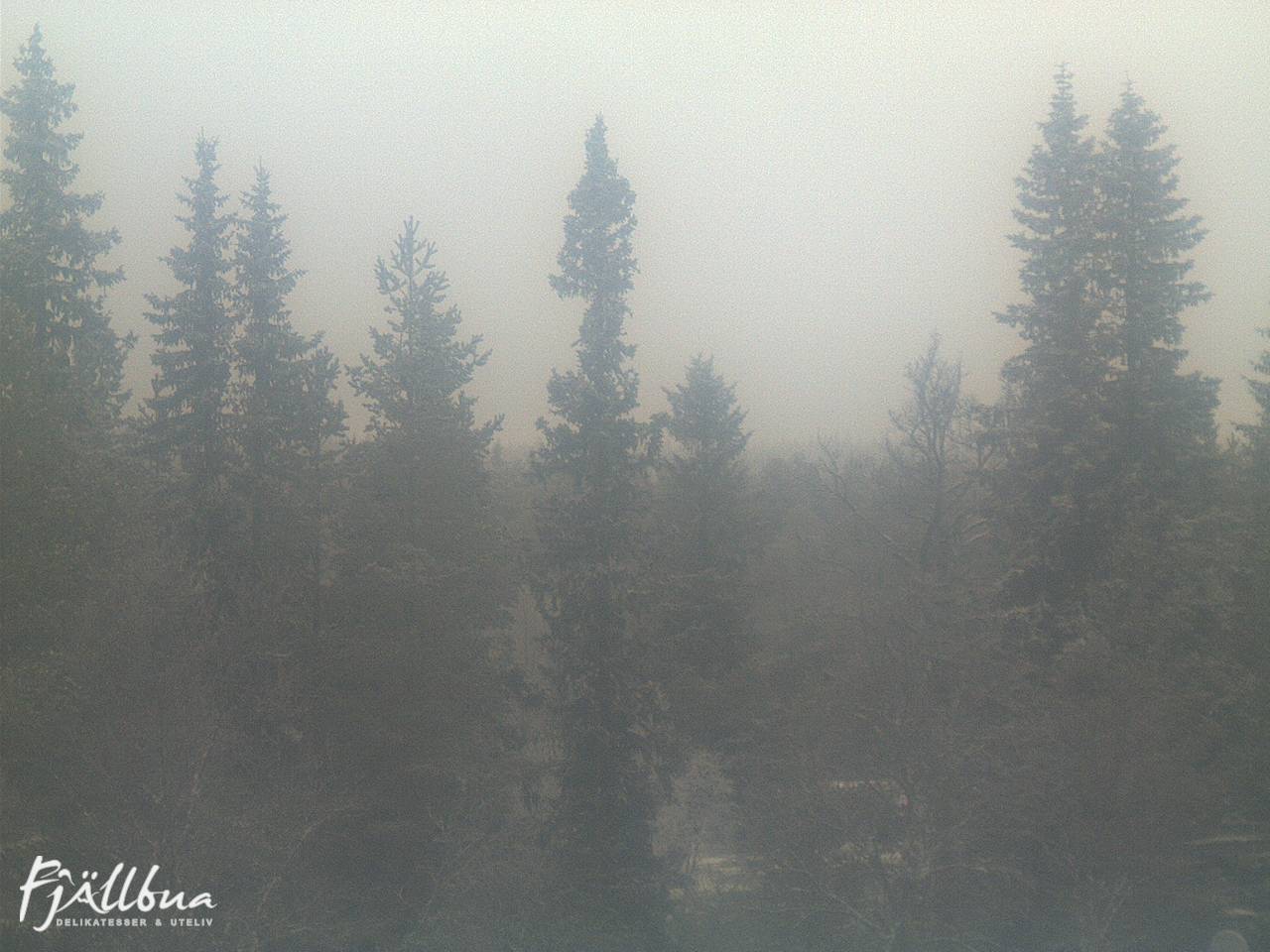 Fjällbua webcam 2024-12-07 13:30