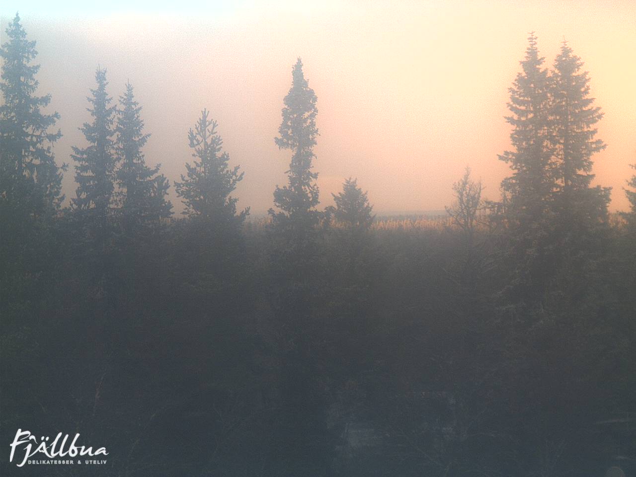 Fjällbua webcam 2024-12-08 14:00