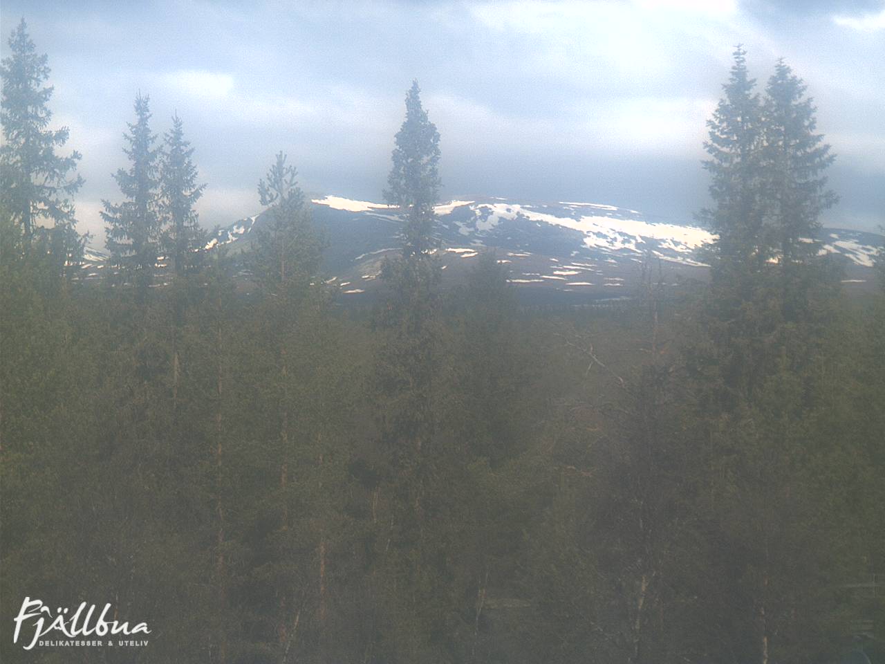 Fjällbua webcam 2025-05-16 10:30