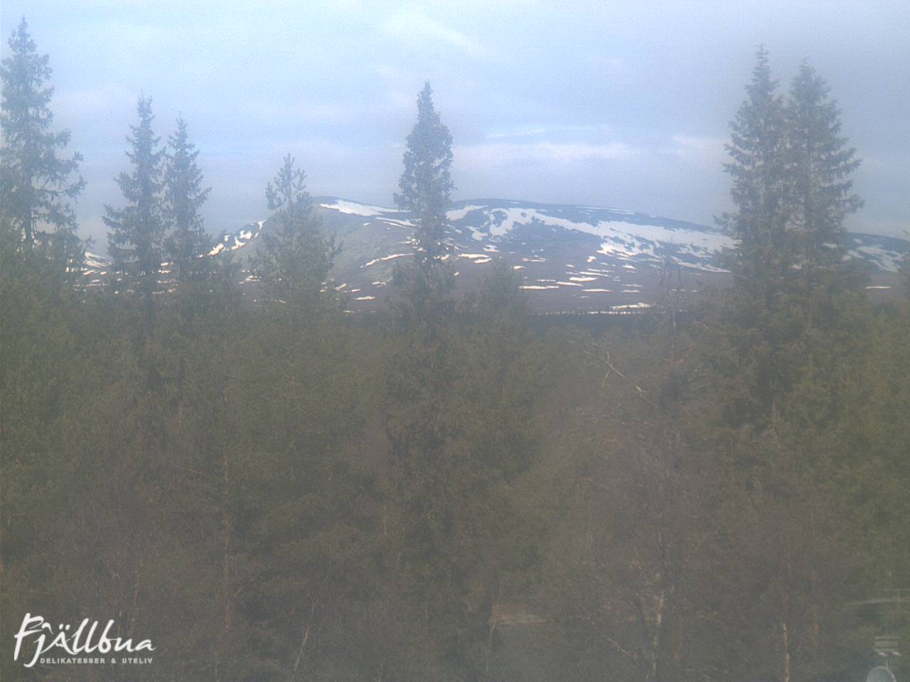 Fjällbua webcam 2025-05-16 11:30